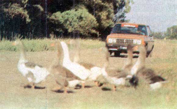 Fiat 131 Racing 2000 TC Potenciado