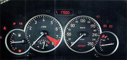 Peugeot 206 2.0 RC